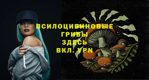 МДПВ Белоозёрский