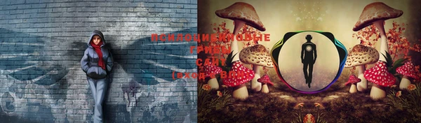 кокаин премиум Белокуриха