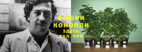 кокаин премиум Белокуриха