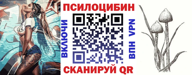 Псилоцибиновые грибы Psilocybine cubensis наркотики Томари